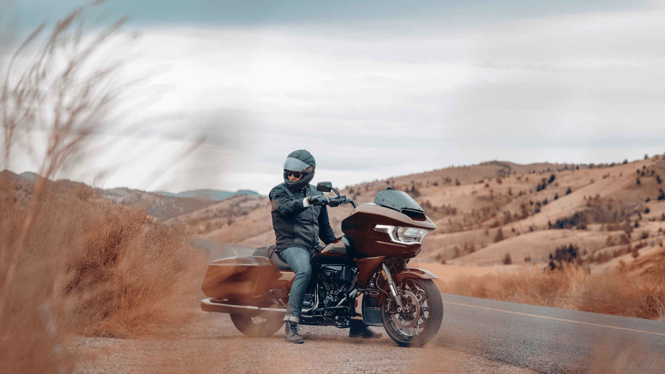 2024 Harley-Davidson® CVO™ Road Glide®