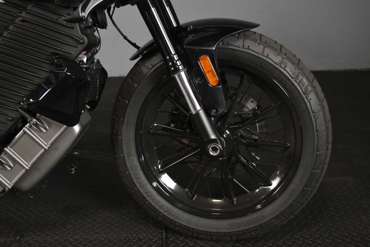 2024 LiveWire™ LiveWire™ S2 Del Mar® S2DM, photo 11