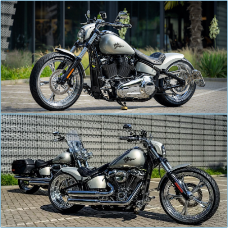 Harley-Davidson Blazing Star: The Custom Breakout