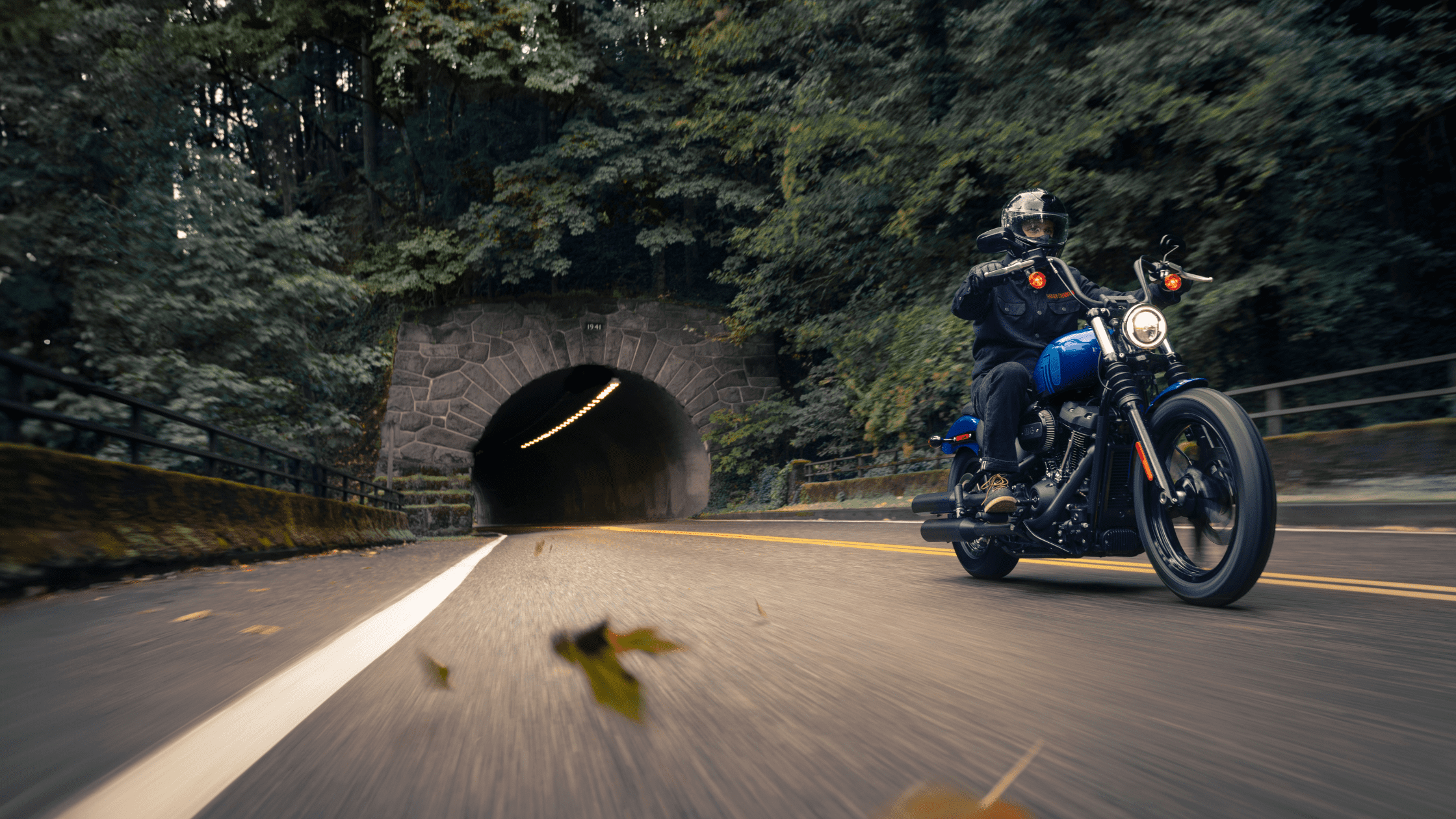 A 2024 Harley-Davidson® Street Bob® 114 motorcycle rider approaching a tunnel on a tree-lined road, with fallen leaves scattered on the pavement.