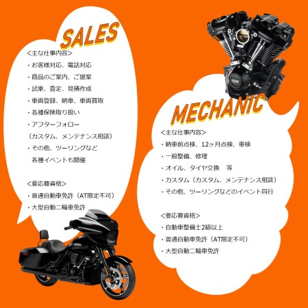 ✅STAFF募集中