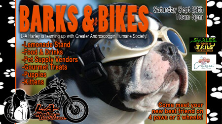 Barks & Bikes