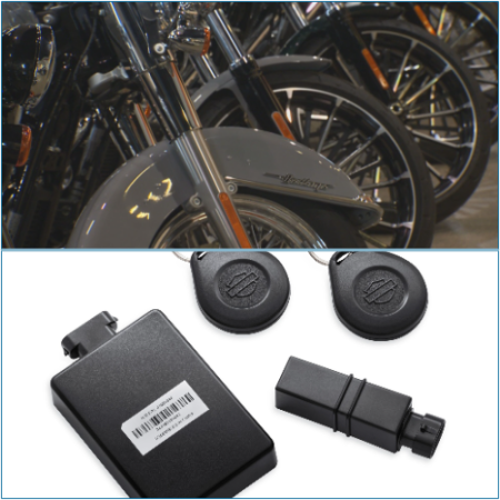 Winnipeg police report a sharp rise in motorcycle thefts in 2024.
