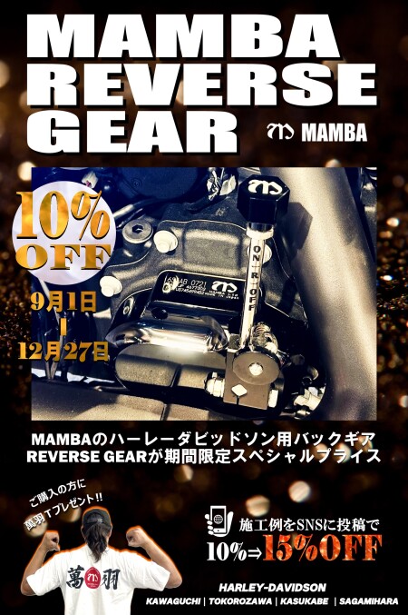 緊急入荷❗早い者勝ち❗無くなり次第終了❗ ミュージシャン