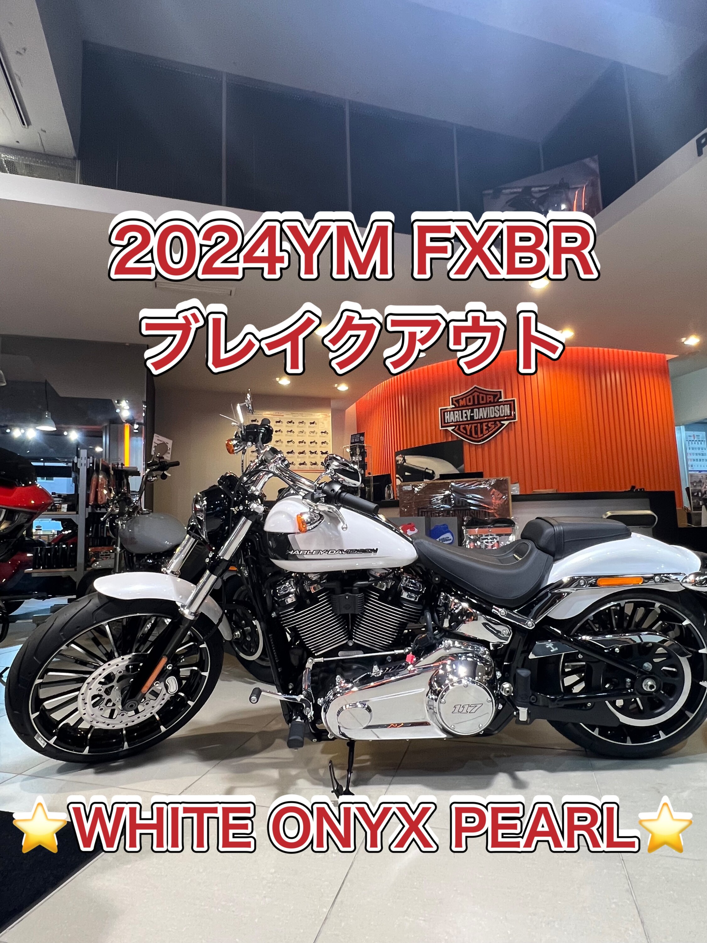 HDSSC』～毎週特別な1台を～Vol.13 | Harley-Davidson® 新宿