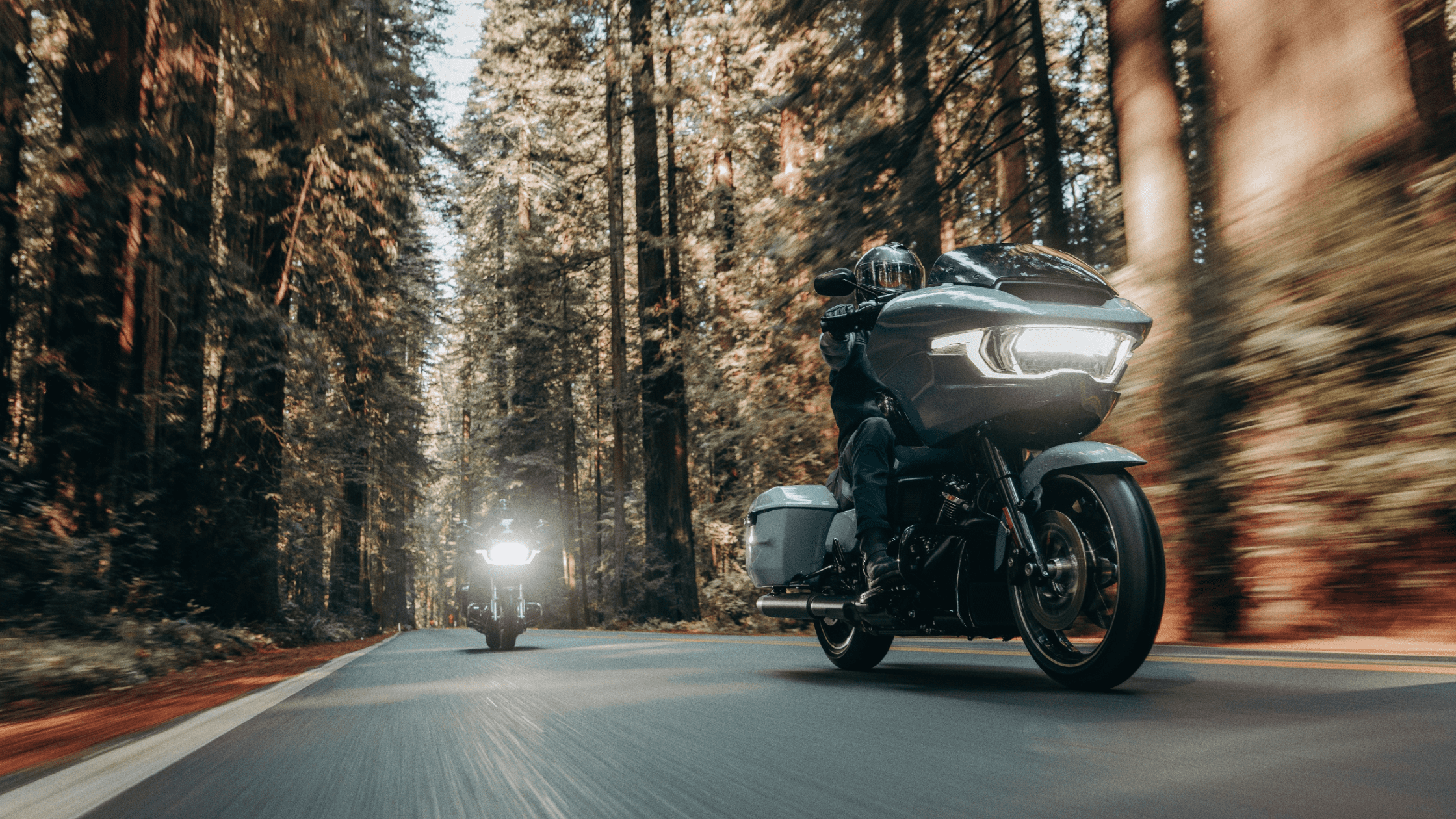 Two riders on 2024 Harley-Davidson® Road Glide® motorcycles cruising through a forested road, with tall trees lining the path
