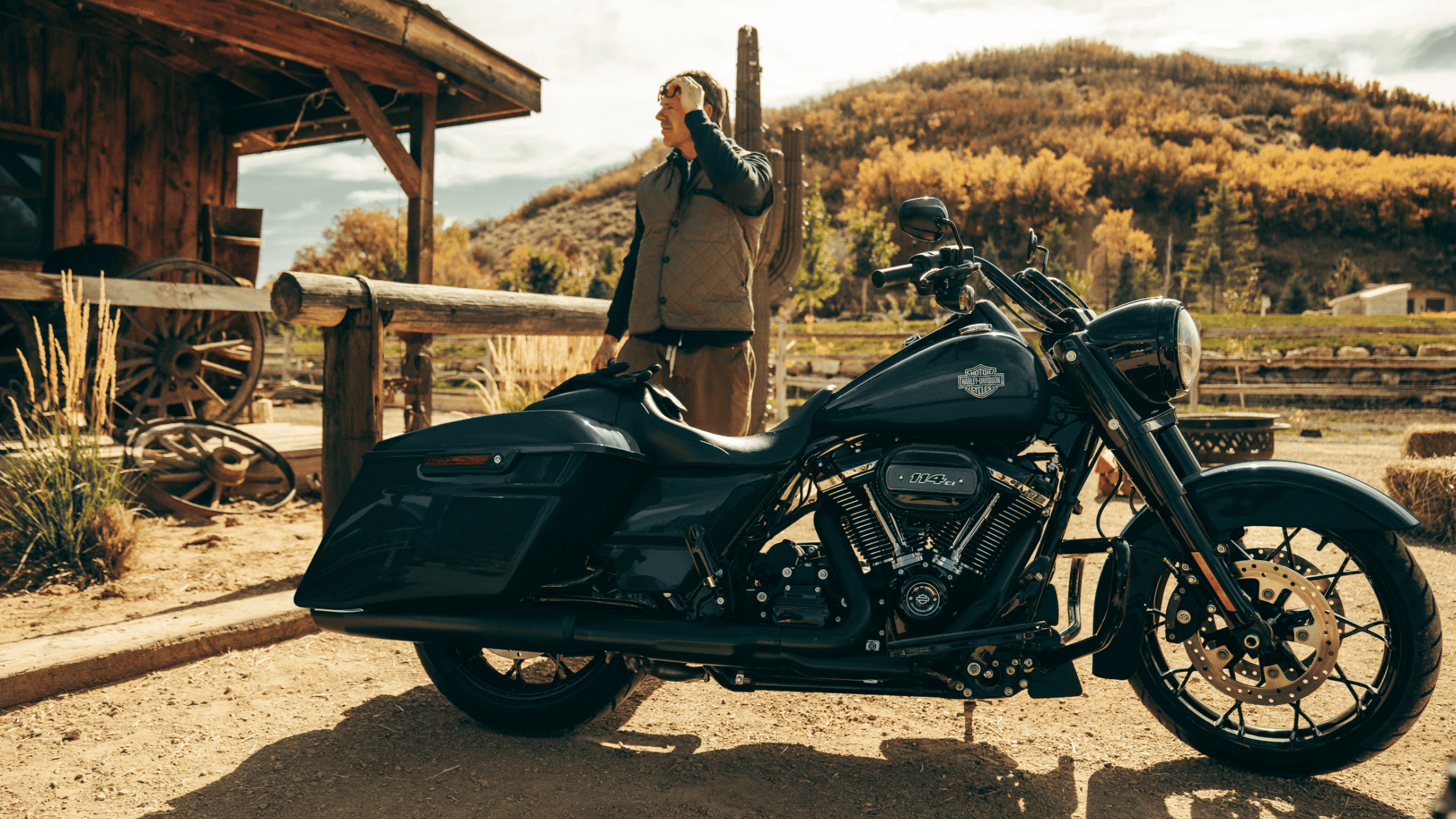 Harley-Davidson Road King® Special parked in front of a rustic wooden cabin, with a rider standing nearby in a scenic countryside setting.