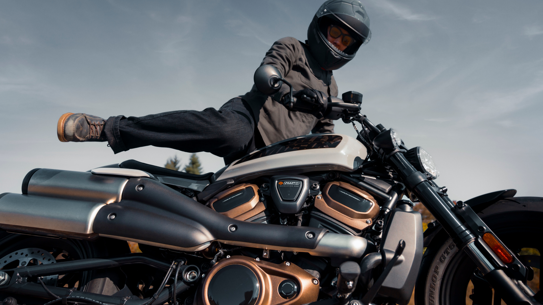 The 2024 Harley-Davidson® Sportster® S