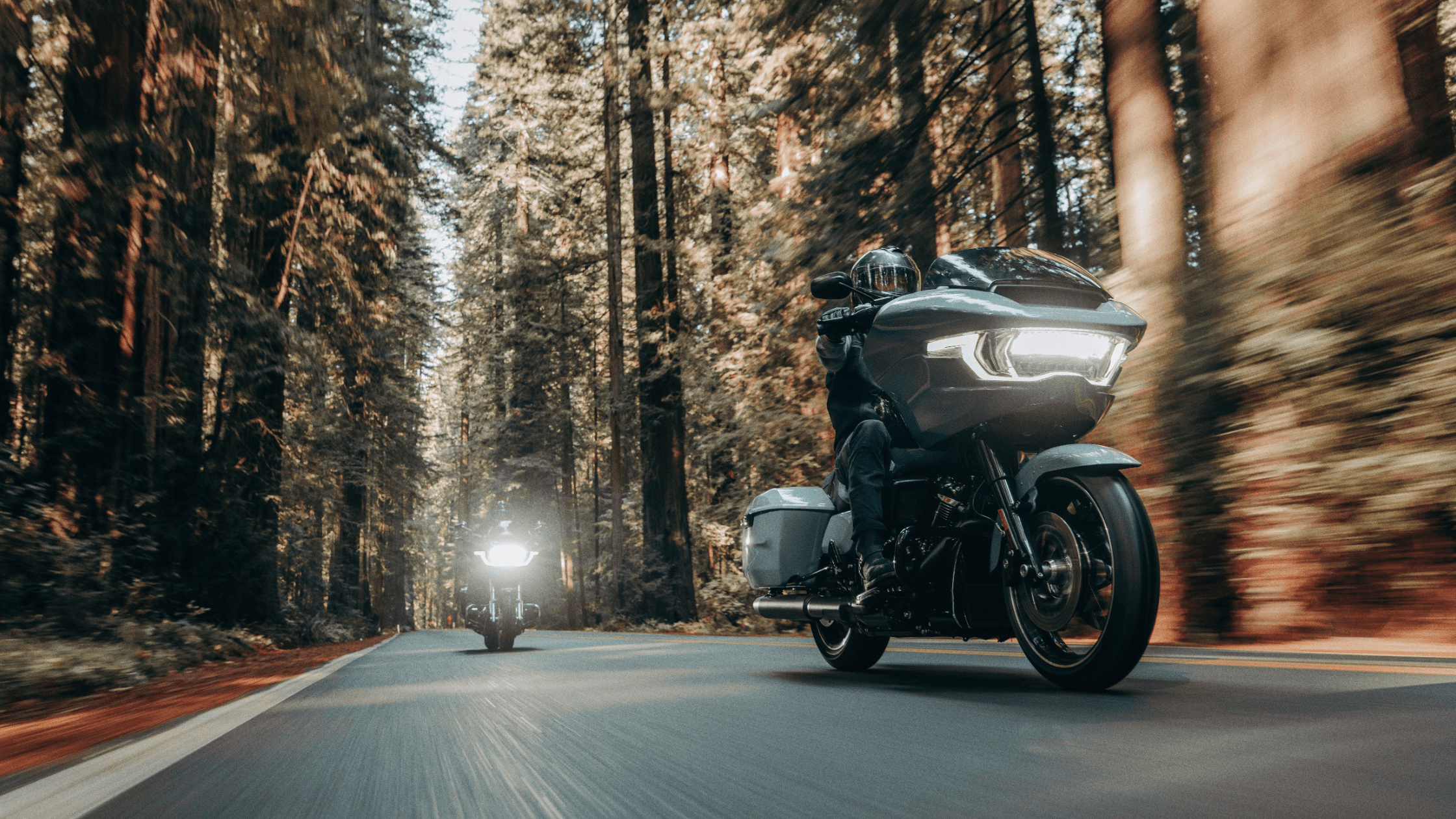 Two riders on 2024 Harley-Davidson® Road Glide® motorcycles cruise through a forested road surrounded by tall trees