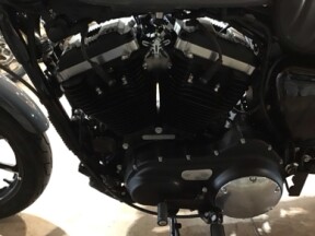 2022 Harley Davidson XL883N Iron 883 thumb 1