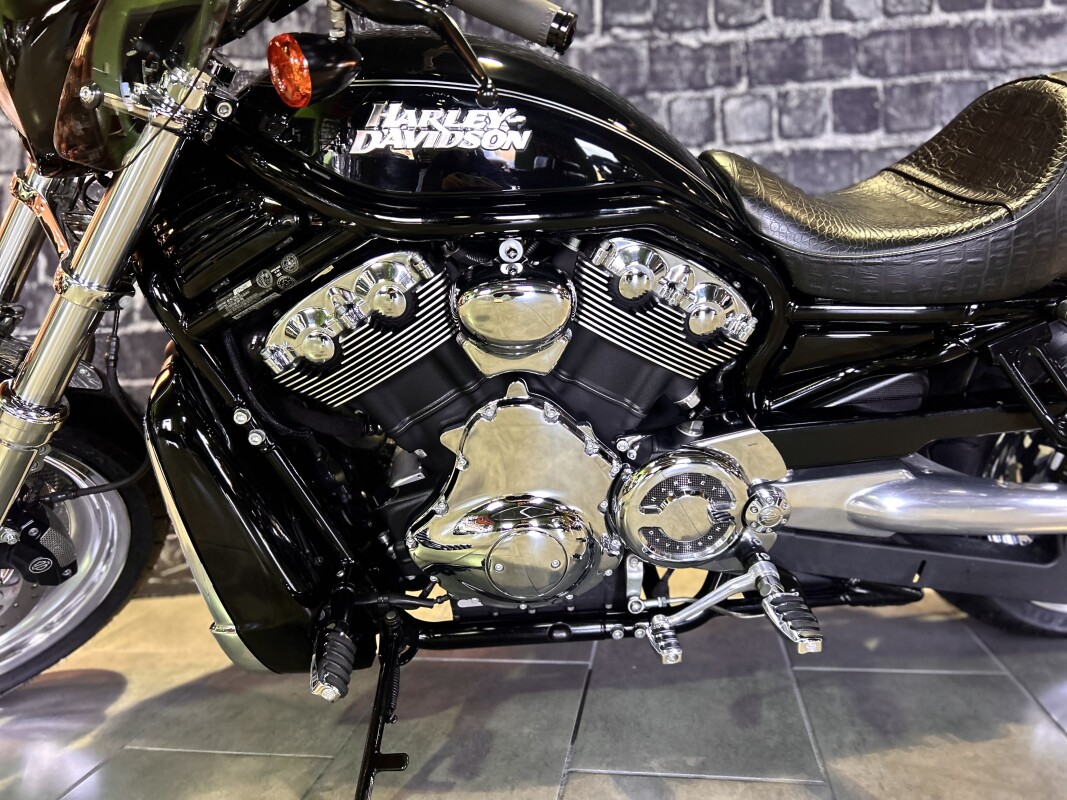 2006 Harley-Davidson Night Rod - Photo 9
