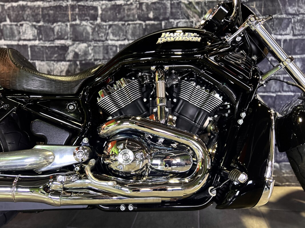 2006 Harley-Davidson Night Rod - Photo 3