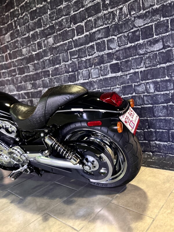 2006 Harley-Davidson Night Rod - Photo 10