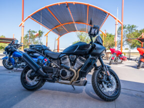 Custom Painted 2024 Pan America 1250 Special RA1250S thumb 3
