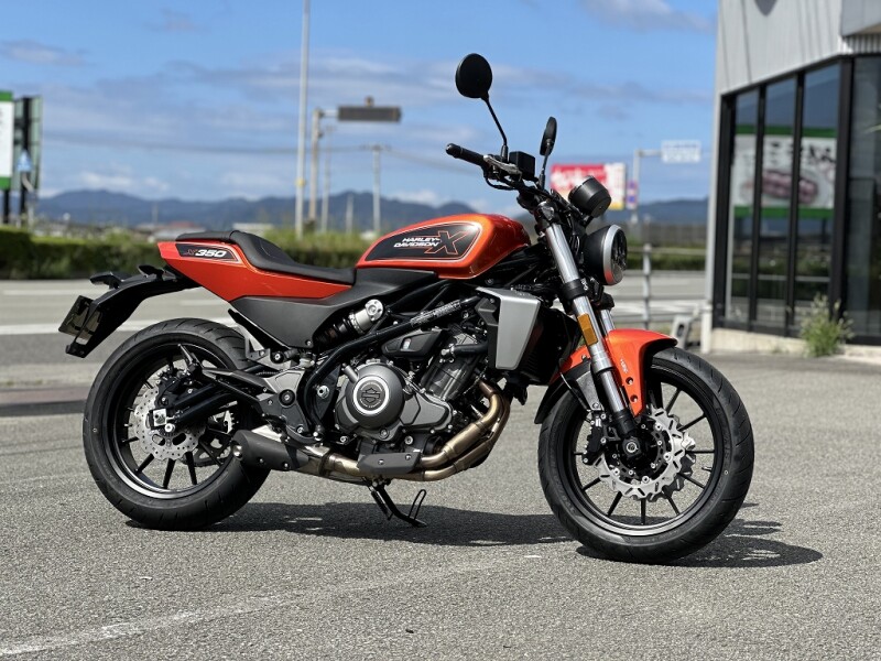 外観美品✨️　ハーレーダビッドソン　シングルライダース　カウハイド　立襟　L HARLEY DAVIDSON Lサイズ シングルライダースジャケット レザー