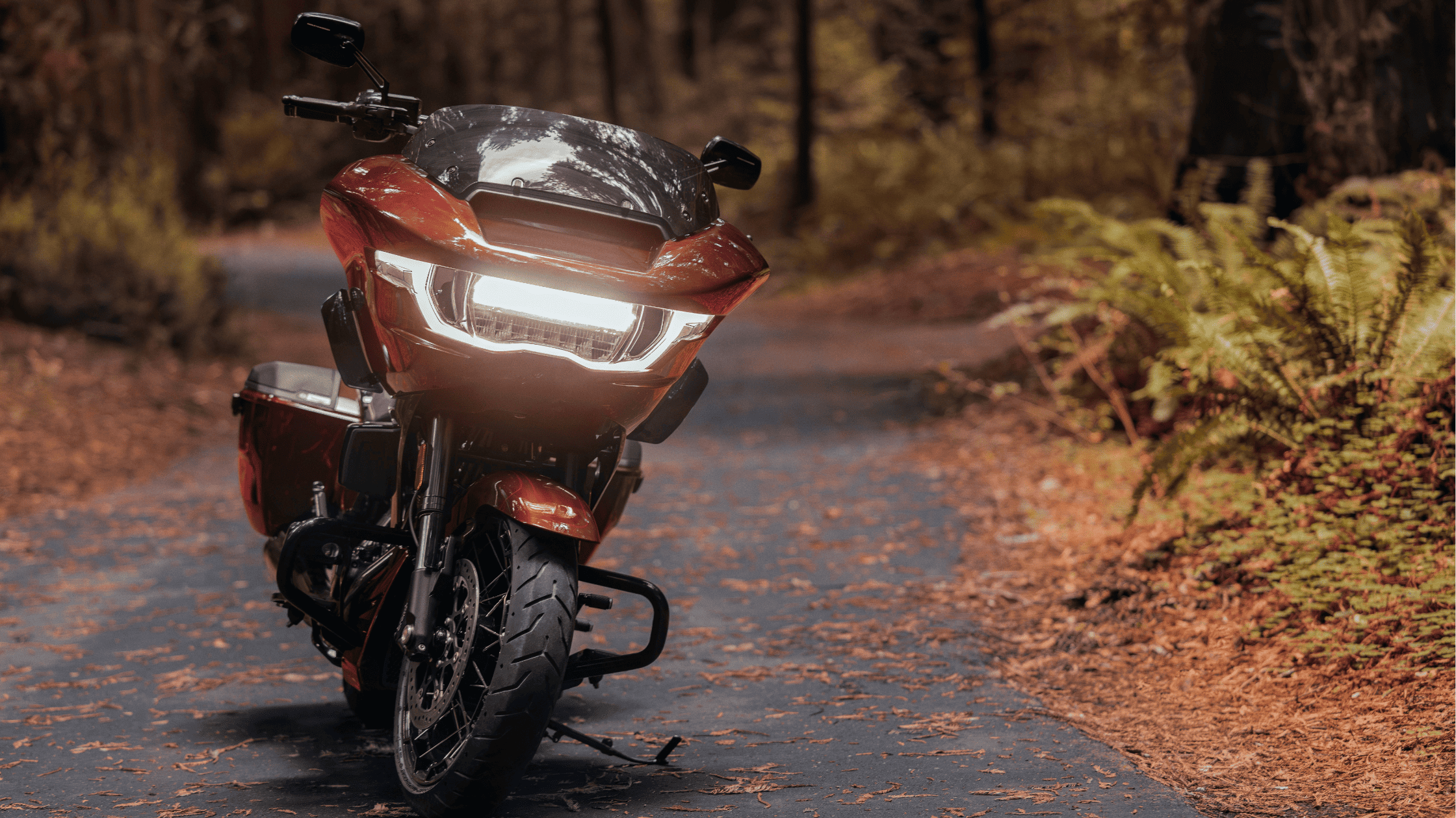 A stunning 2024 Harley-Davidson® CVO™ Road Glide® parked on a scenic forest path near Bentonville, AR, showcasing its sleek design and powerful stance.