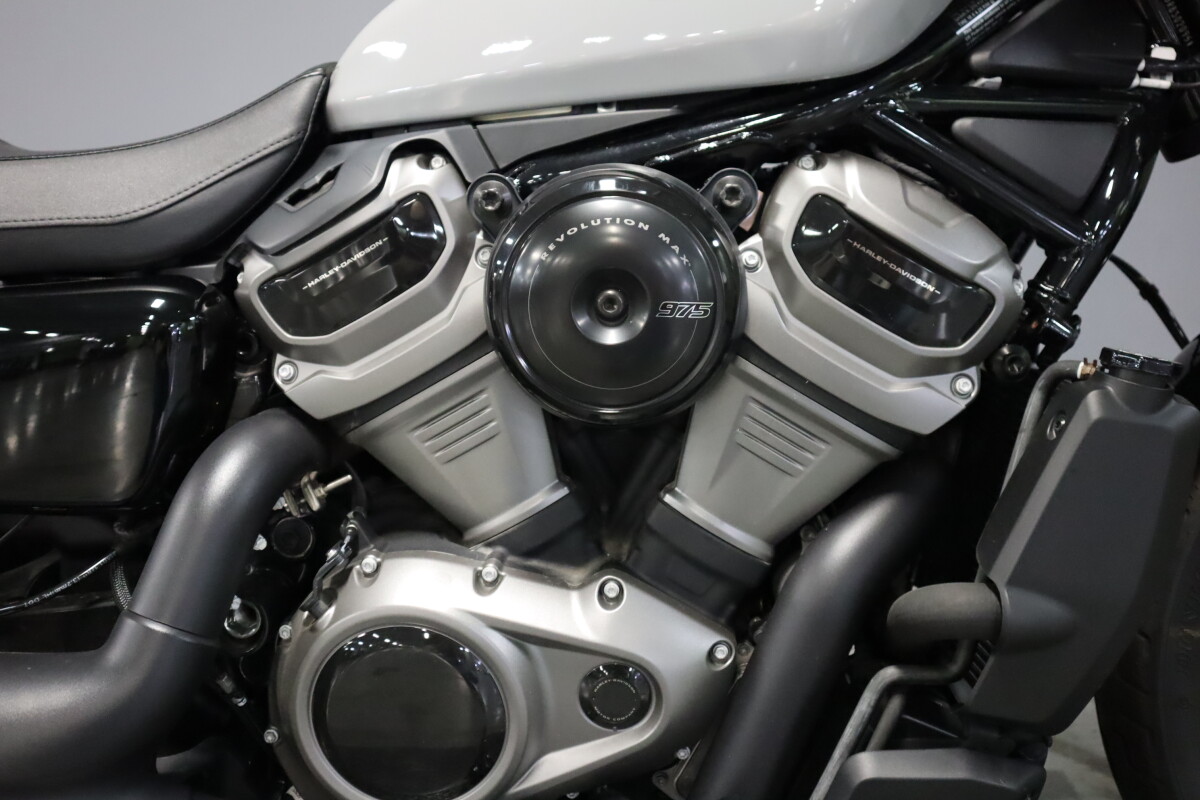 2024 Harley-Davidson® Nightster™ RH975, photo 3