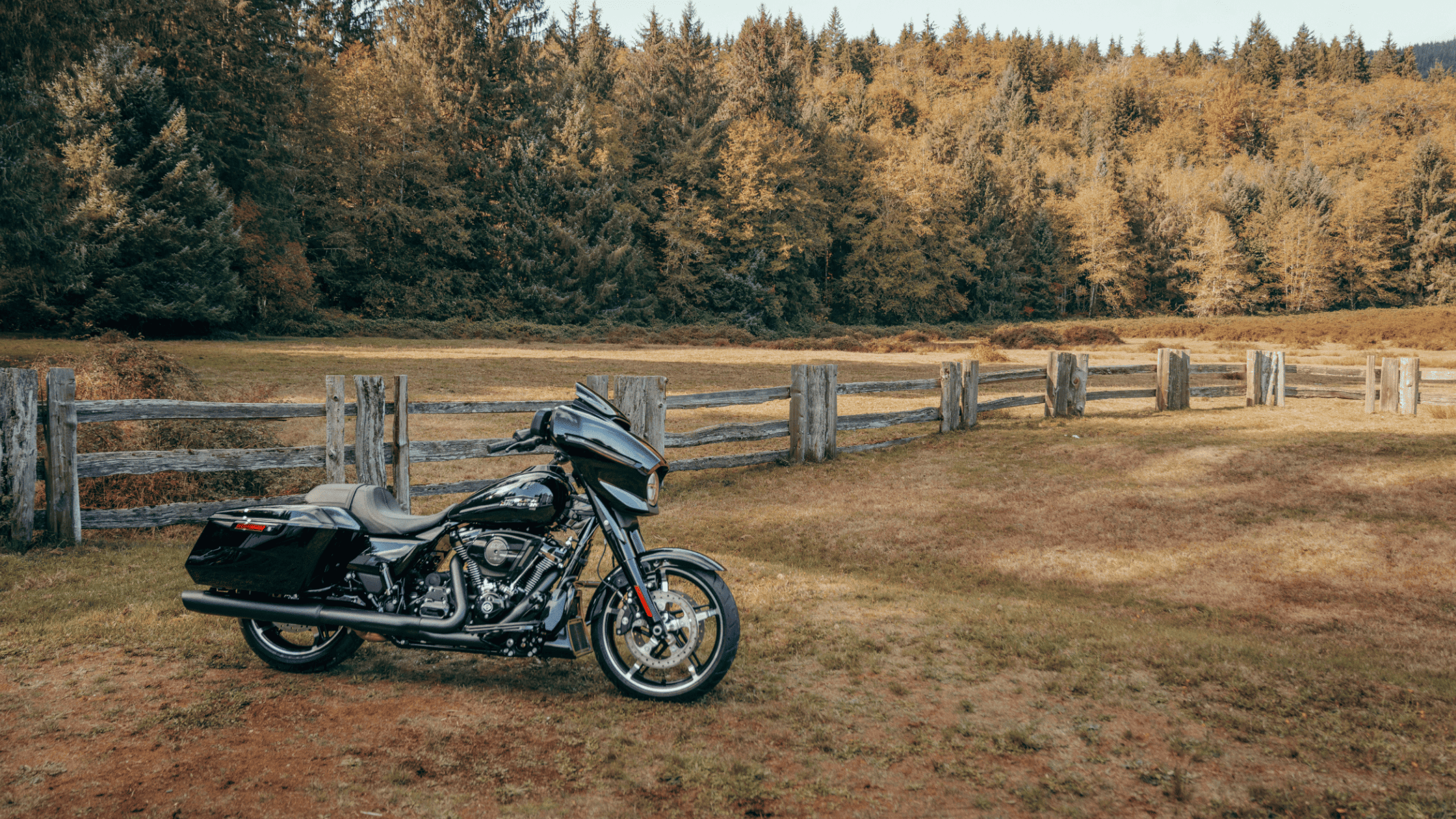 2024 Harley-Davidson® Street Glide®