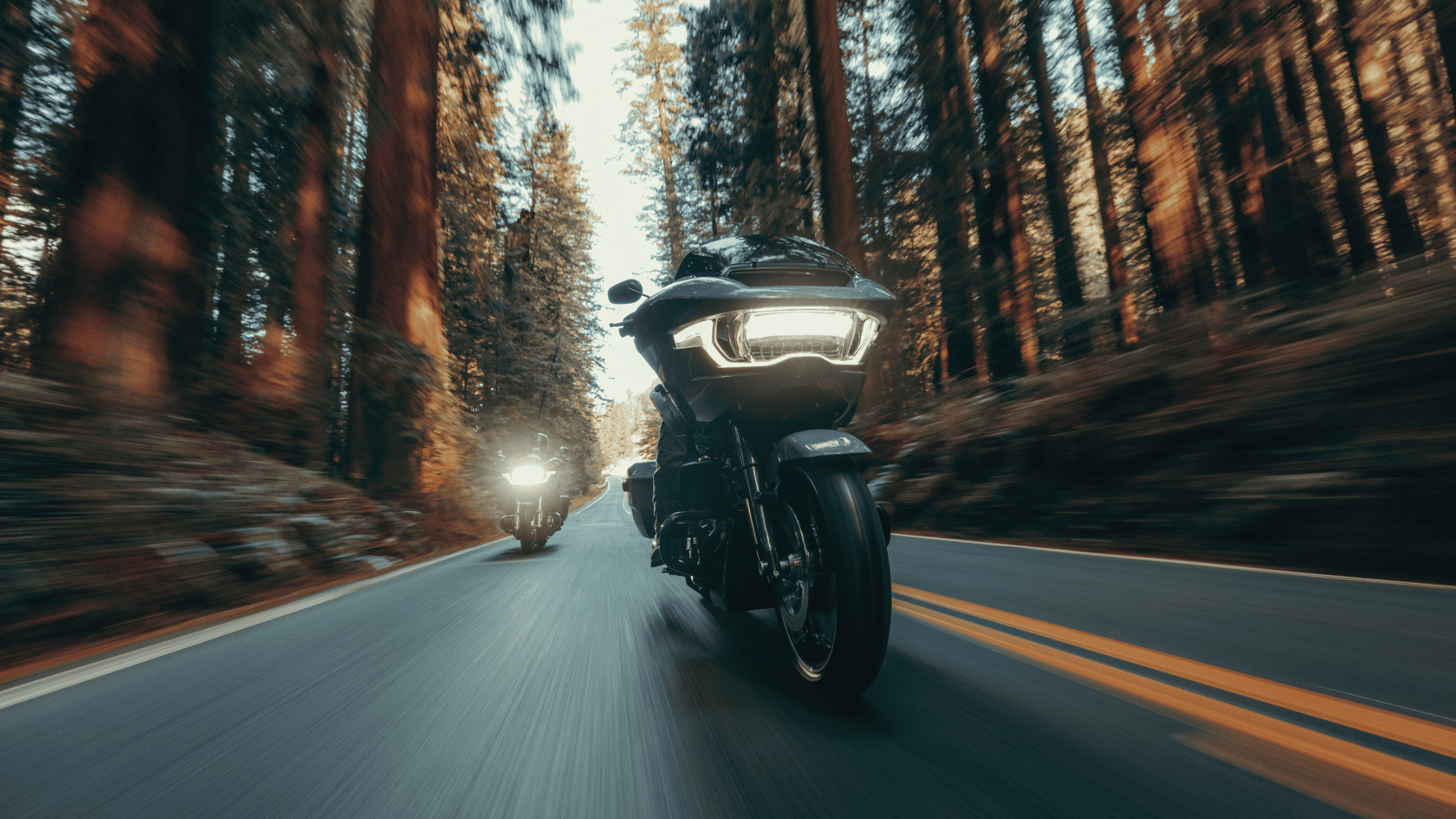 2024 Harley-Davidson® Road Glide® leading a scenic forest ride, showcasing its bold design and performance.
