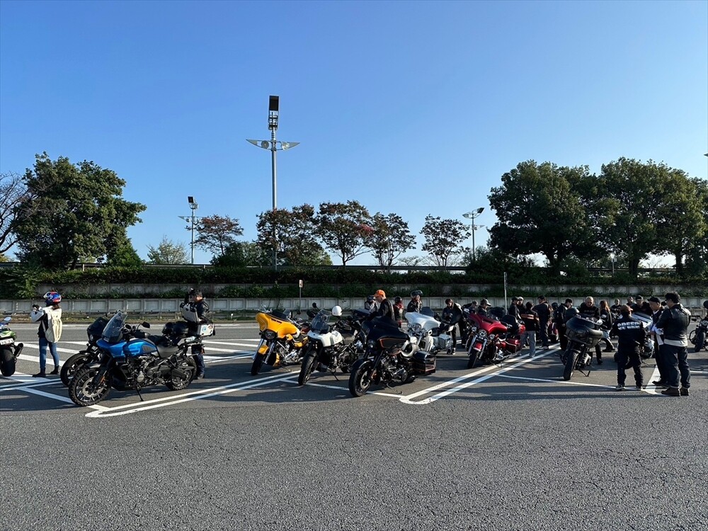 3c2cd9920de5b6a1f4c5cb91f22d0d59_f9c78918a4259cc3.jpg