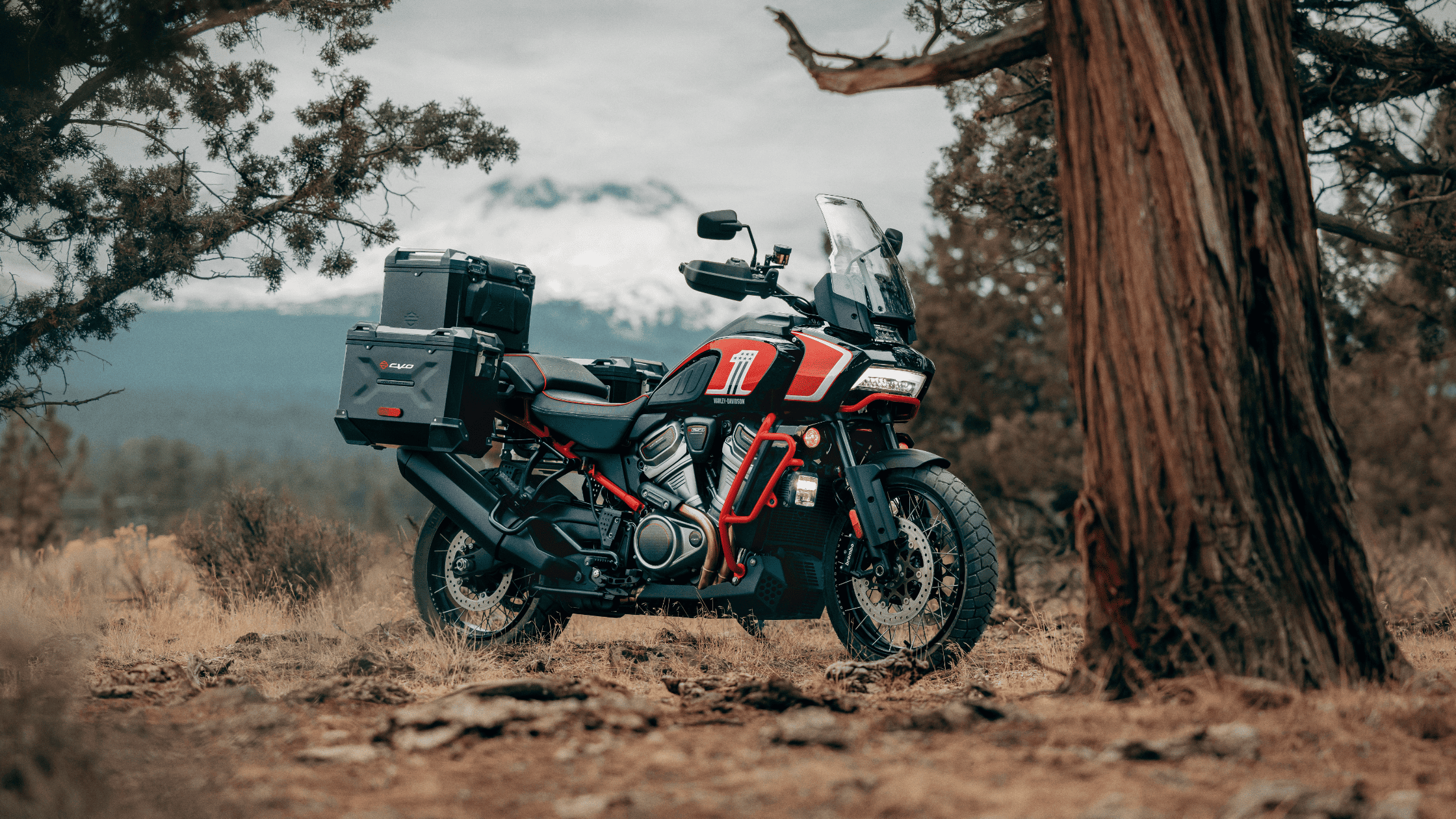 2024 Harley-Davidson® CVO™ Pan America® parked in a scenic forest with a mountain backdrop
