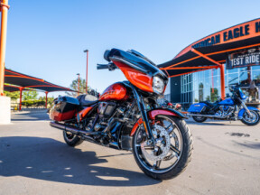 Custom Painted 2024 Street Glide FLHX thumb 0