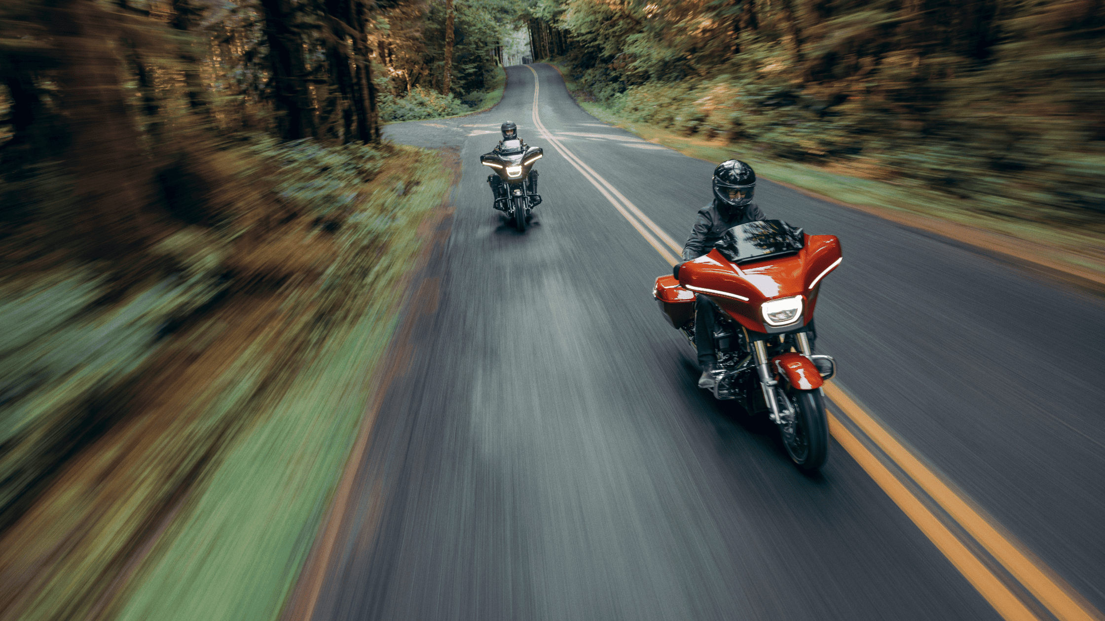 two 2024 harley-davidson street glide cruising on a road between a forest