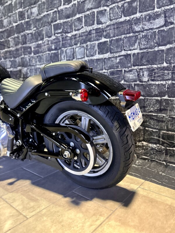 2022 Harley-Davidson Softail Standard - Photo 10