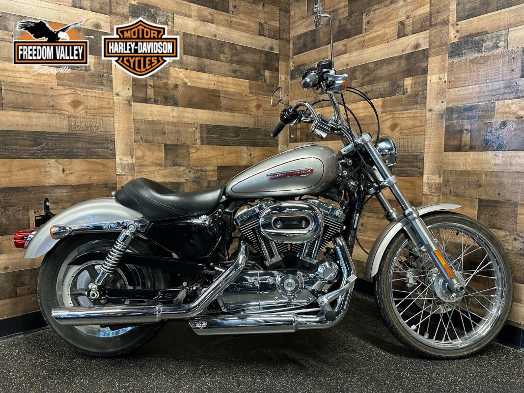 2008 Harley-Davidson® 1200 Custom Pewter Pearl | Freedom