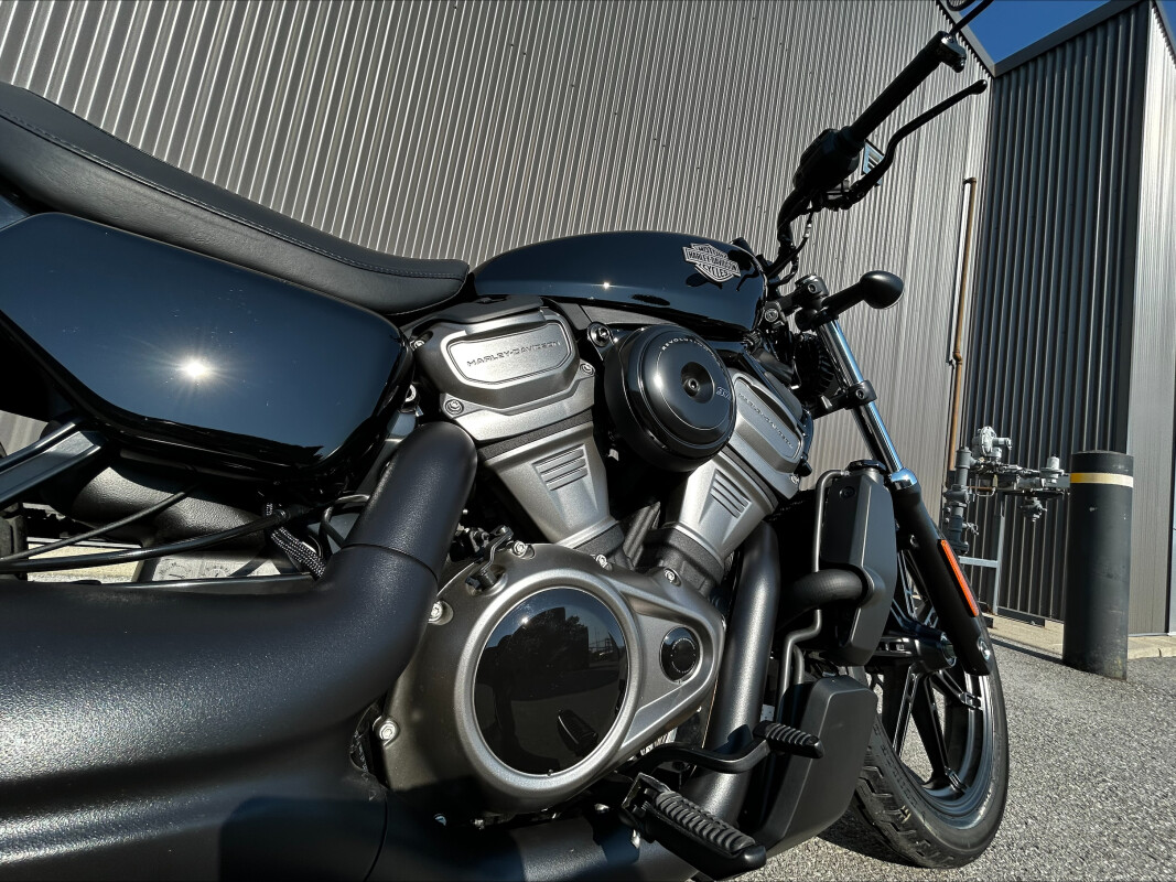 2023 Harley-Davidson Nightster Black - Photo 7