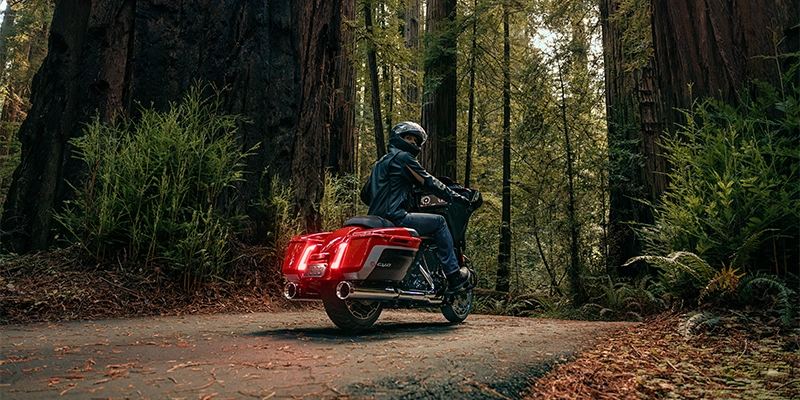 A rider on his Harley-Davidson in the woodlands
