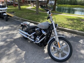 2024 Harley-Davidson<sup>®</sup> Softail<sup>®</sup> Standard thumb 3