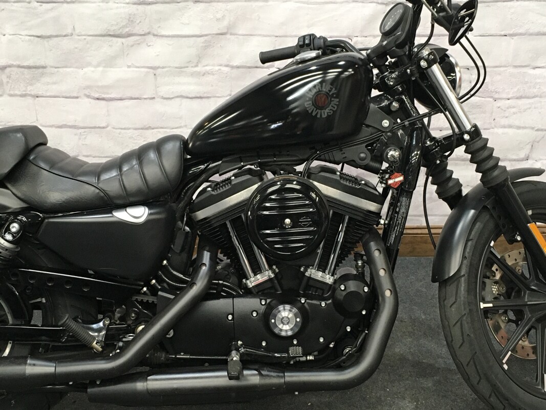 2019 Harley-Davidson Iron 883 Black XL883N - Photo 3