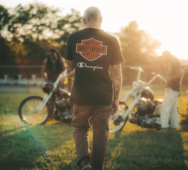 mob_b521c3d4434de425e12f1bc49e