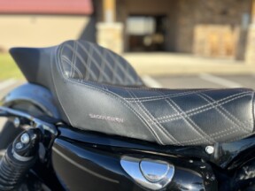 2022 Harley-Davidson Forty Eight XL1200X thumb 1