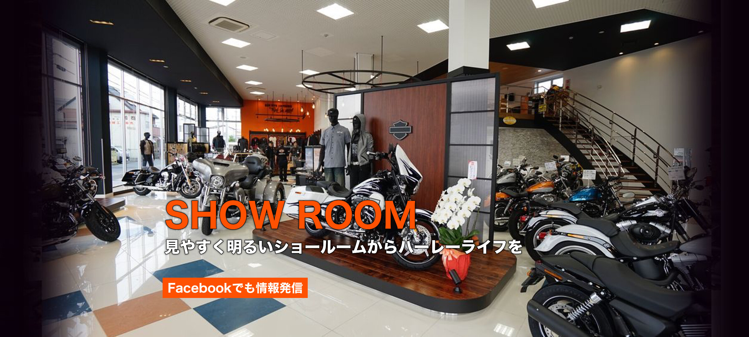 見やすく、きれいなショールーム