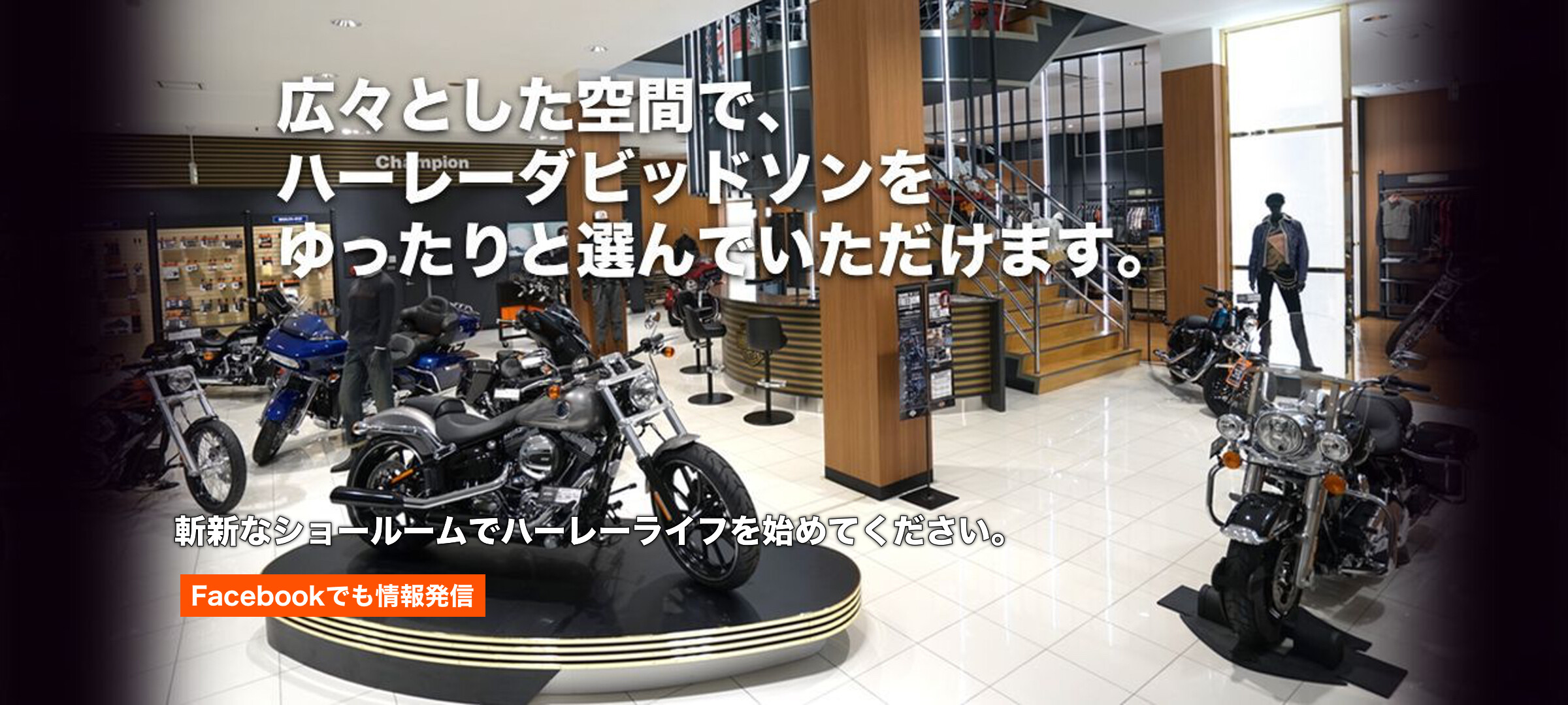今までにない斬新なショールーム