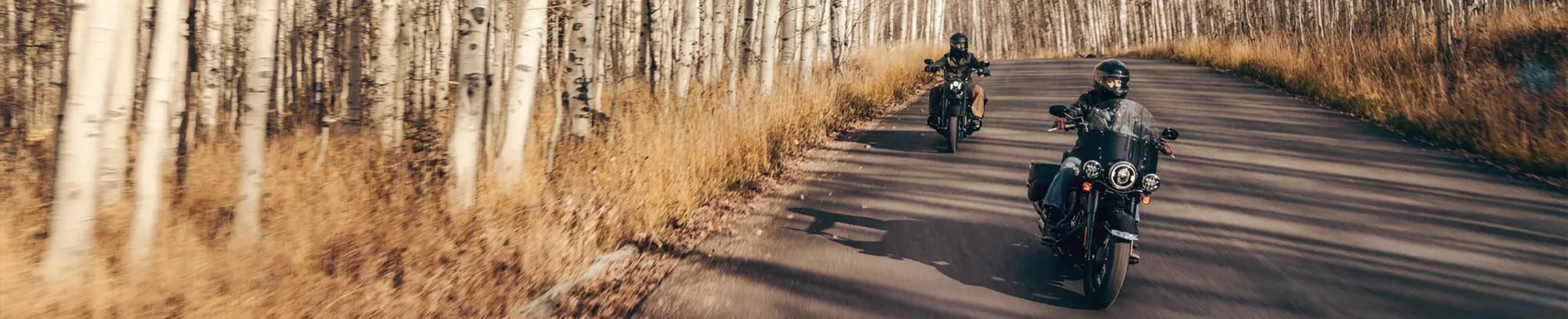 Two riders on Harley-Davidsons riding on an autumnal main road