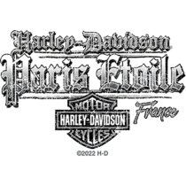 T-SHIRT PARIS DESTINATION GREY