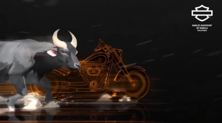Exclusive Edition 11th Anniversary 2024 Custom Bike Reveal!