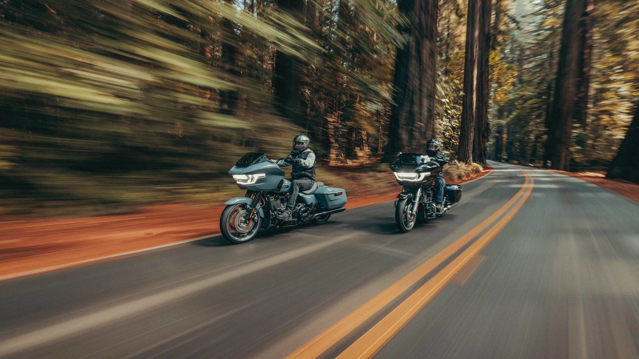 Two riders on 2024 Harley-Davidson® Road Glide® motorcycles cruising on a scenic forest road near Bentonville, AR, showcasing the power, style, and adventure-ready design of Harley-Davidson® bikes.