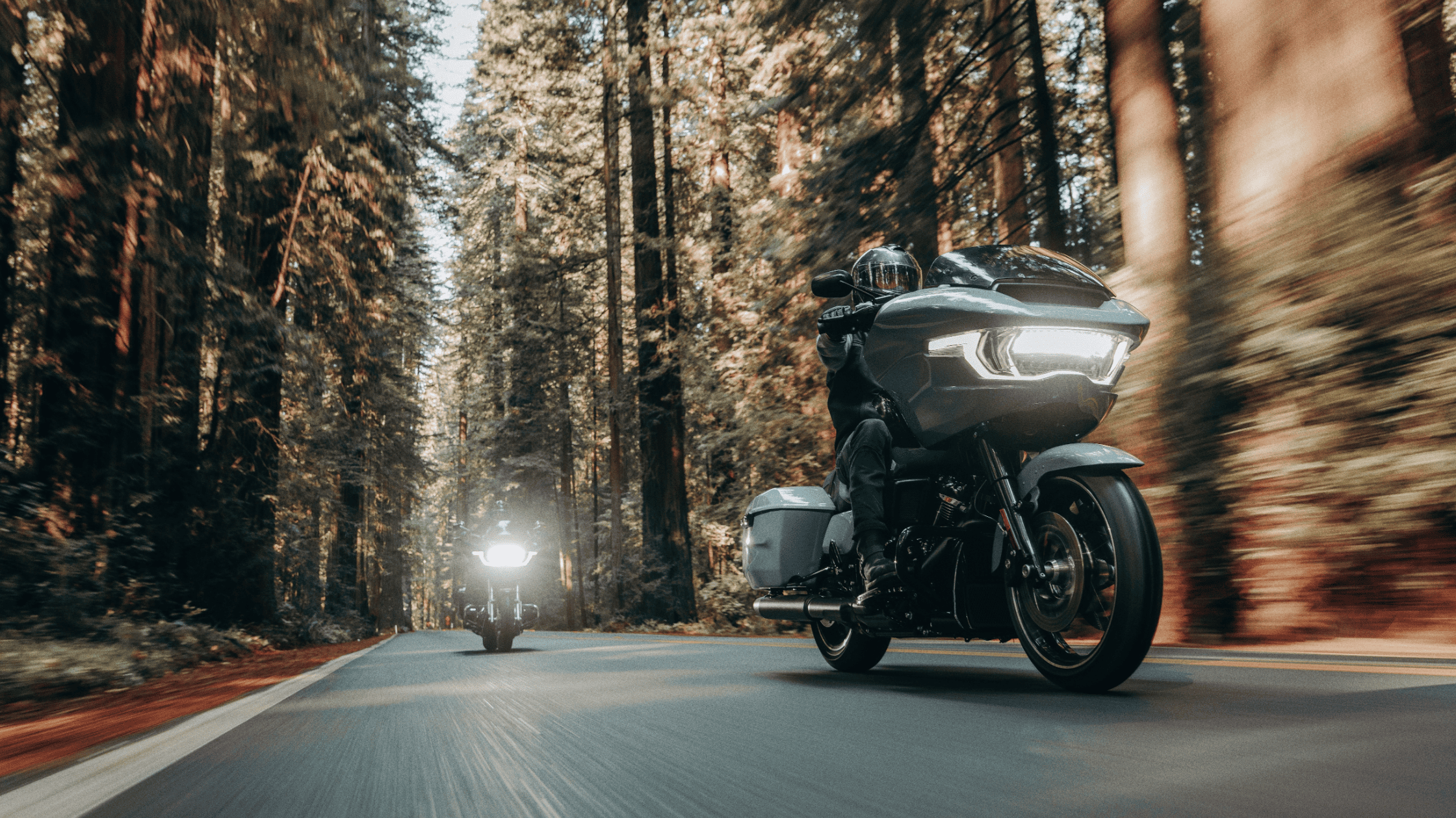 2024 Harley-Davidson® Road Glide® models cruising through dense forest road.