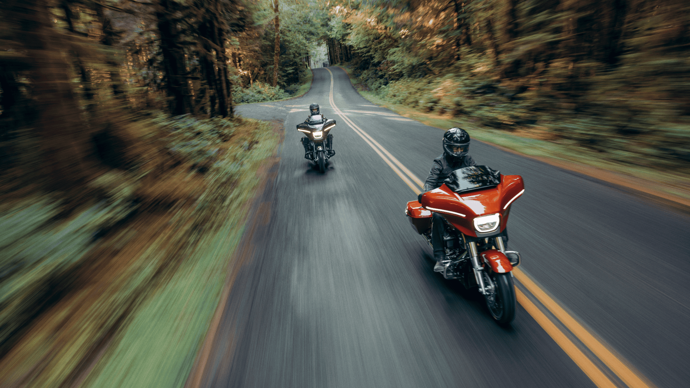 2024 Harley-Davidson® Street Glide® models riding through scenic forest road.