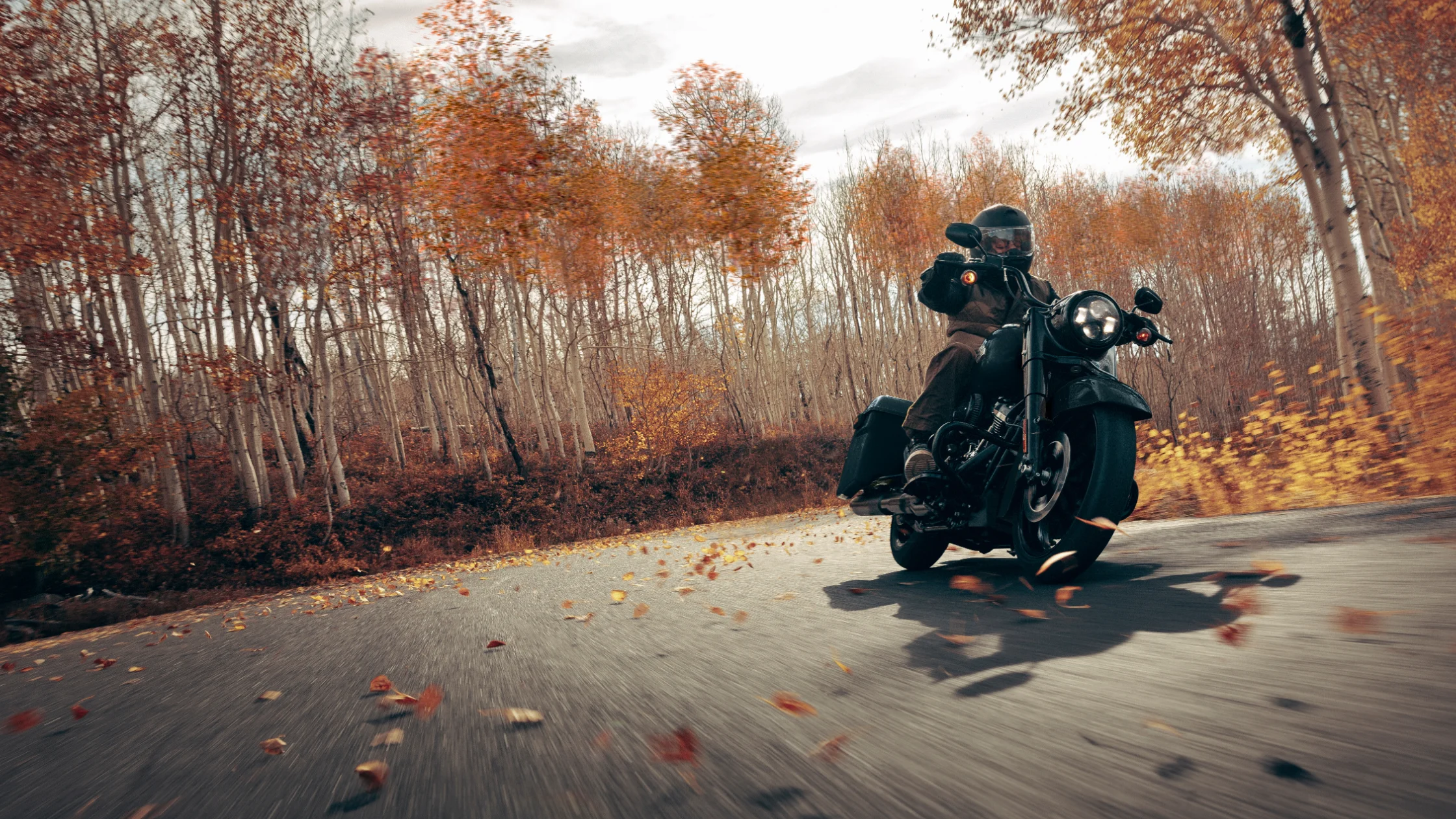 Harley-Davidson® Road King® Special riding through vibrant autumn scenery.