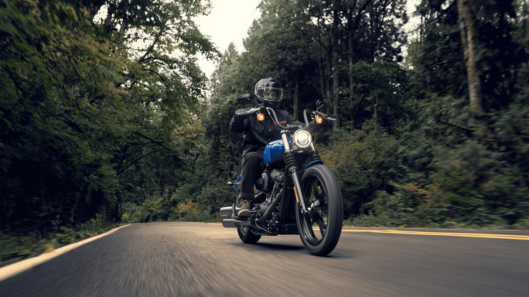 Rider cruising a blue Harley-Davidson through a forested road.