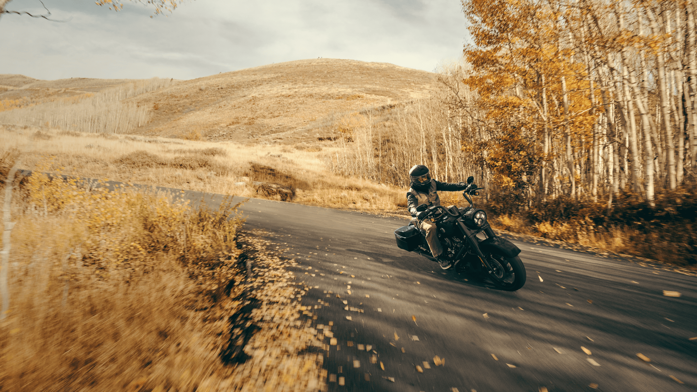 Rider leaning into a curve on a 2024 Harley-Davidson® Road King® Special, set against a backdrop of golden autumn trees and rolling hills