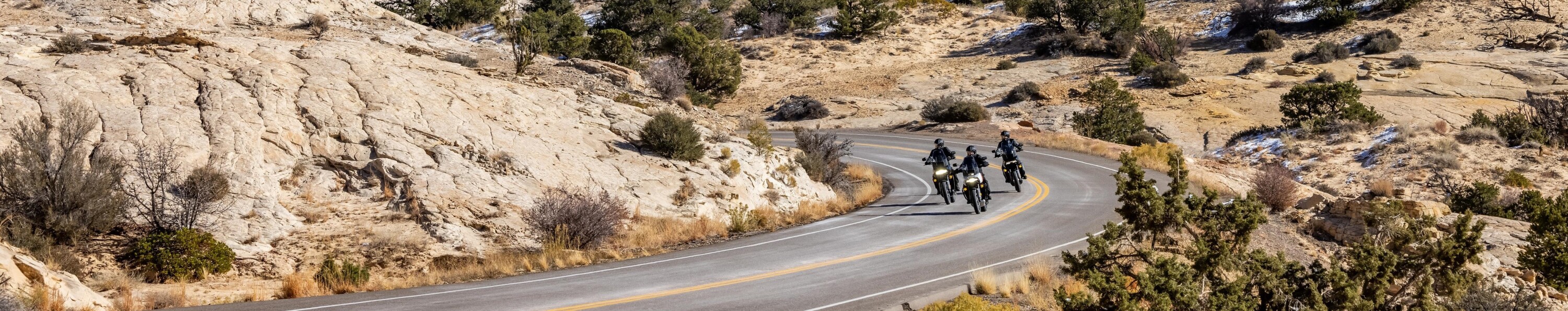 RA1250SE CVO™ Pan America™