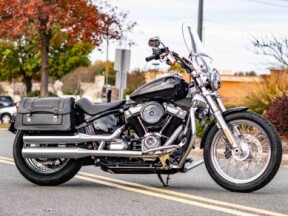 FXST 2021 Softail Standard<sup>®</sup> thumb 1