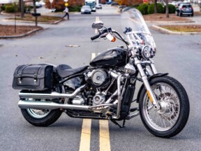 FXST 2021 Softail Standard<sup>®</sup> thumb 2