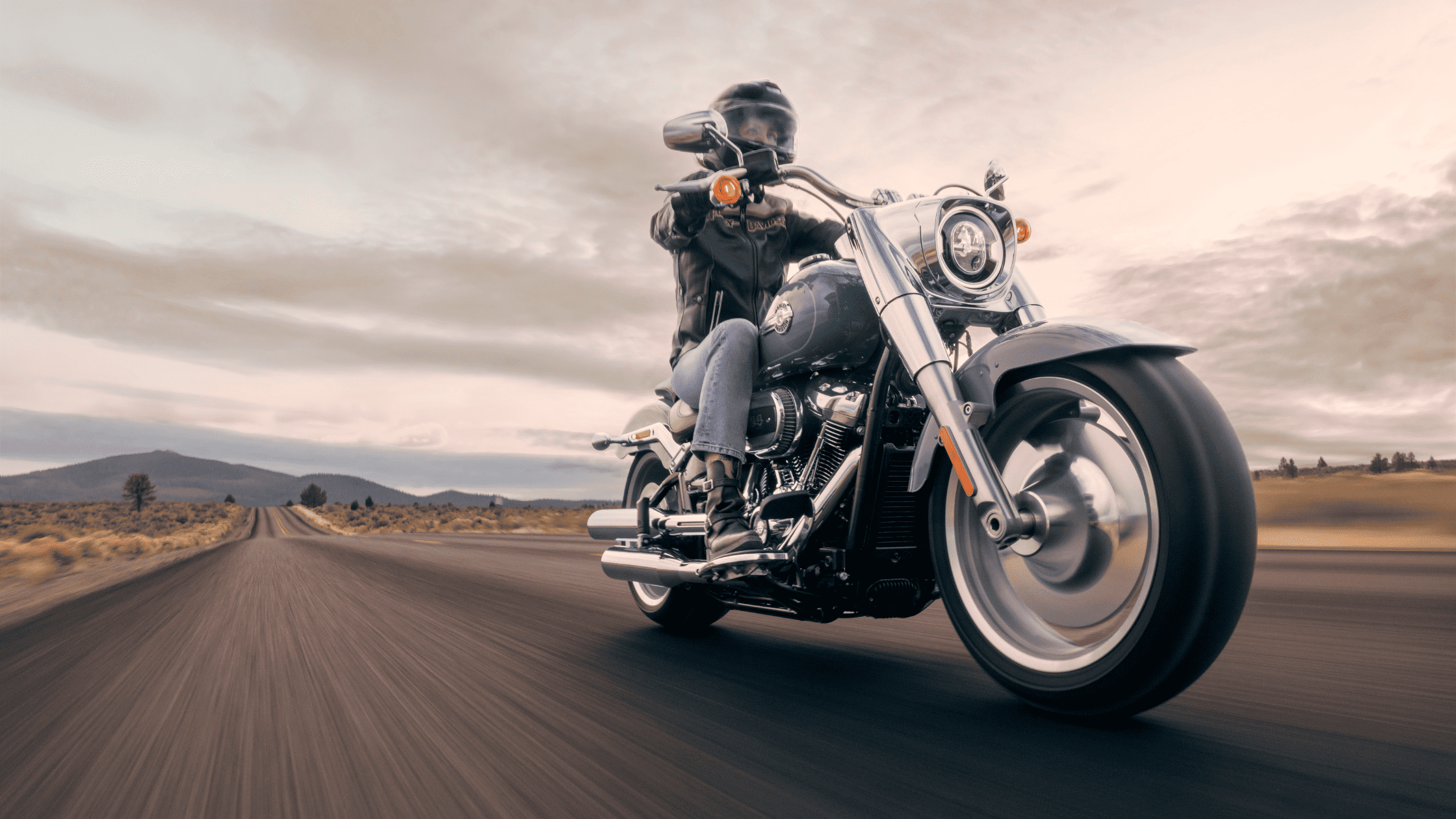 2024 H-D® Fat Boy® 114 in Concord, NC